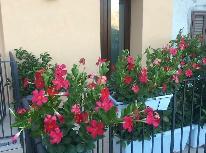 Casa Margo 4*