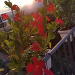 Casa Margo 4*